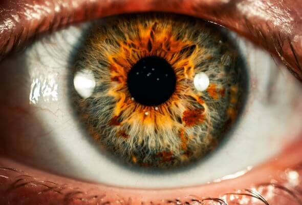 What are hazel eyes